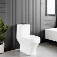 Toilette moderne monobloc en céramique siphonique économique sans rebord maison hôtels articles sanitaires montés au sol S-trap salle de bain commode