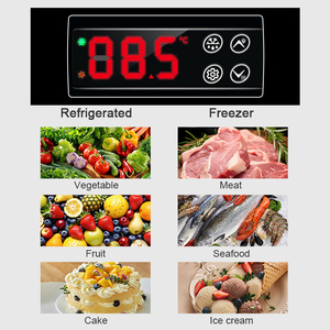 Equipo de Refrigeración Comercial <span class=keywords><strong>Congelador</strong></span> <span class=keywords><strong>Vertical</strong></span> Profundo de Acero Inoxidable Refrigerador <span class=keywords><strong>Congelador</strong></span> <span class=keywords><strong>Industrial</strong></span> - Product Image 6