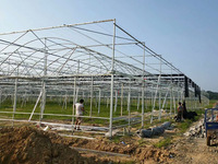 Serre agricole multi-chapelles à double couche, grande taille, à faible coût, en stock, pour projets clés en main d'hydroponie de tomates, en acier et film.
