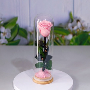 2024 Regalo de <span class=keywords><strong>Cumpleaños</strong></span> flor preservada Rosa cúpula de cristal regalos para mujeres <span class=keywords><strong>rosas</strong></span> preservadas con tallo rosa de cristal flores eternas - Product Image 5