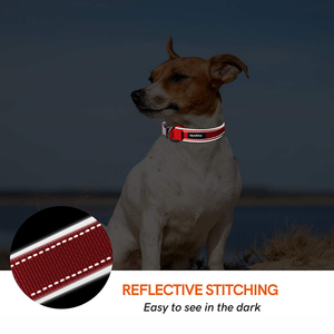 <span class=keywords><strong>Collar</strong></span> de Perro Ajustable de Diseño de Alta Calidad con Nylon Reflectante y Acolchado de Neopreno Suave - Product Image 5