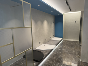 Kit Completo de Baño Prefabricado, Diseño Modular de Lujo, Cabina de Ducha con Ventana de Vidrio para Hotel, Módulos de Baño para Camping - Product Image 5