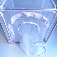 Cage d'élevage d'insectes en acier inoxydable à mailles fines de 0,1 mm, 30x30x30 cm, pour petites insectes, recherche en entomologie