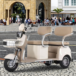 <span class=keywords><strong>Tricycle</strong></span> <span class=keywords><strong>électrique</strong></span> pliable 600W sans balais pour adultes, à 3 roues, à carrosserie ouverte, pour passagers handicapés, livraison rapide depuis la Chine - Product Image 5