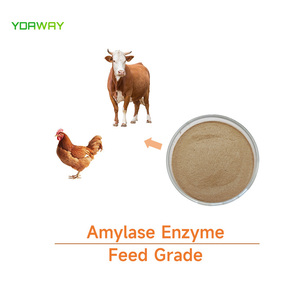Alpha-Amylase-Enzym in Futter qualität für Geflügel-und Viehfutter mit hoher Effizienz - Product Image 4