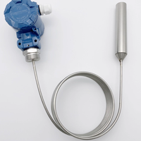 High Temperature 304 Stainless Steel Armored Level Transmitter 4-20mA Output for Gasoline Diesel Soybean Oil and Water