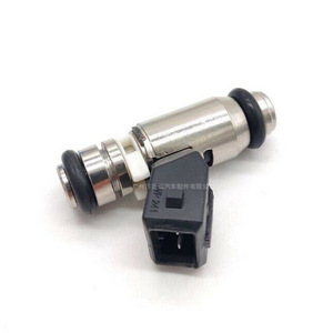 Inyector de Combustible IWP-241 de Acero Inoxidable para Reemplazo Automotriz - Product Image 1