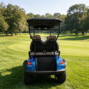 Carrito de golf eléctrico elevado de 4 plazas modelo F personalizado multicolor azul - Product Image 4