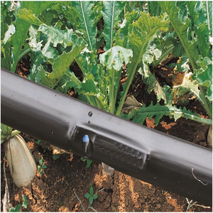 Sistema di Irrigazione a Goccia con Tubo Micro Pioggia a Prezzo di Fabbrica, Nastro Piatto in PE per Irrigazione Agricola - Product Image 5
