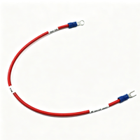 Faisceau de câbles rouge personnalisé avec bornes fourche et à anneau, câble de raccordement pré-crimé avec gaine en vinyle bleu pour interrupteur d'alimentation
