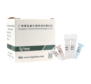 ชุดตรวจวินิจฉัยโรคไวรัสลิวคีเมียในแมว (FeLV) แบบเรียลไทม์ PCR สำหรับแมว ยี่ห้อ VIUICK (VIPOTION) ชนิดผงแห้งแช่แข็ง มาตรฐาน ISO9001 - Product Image 2