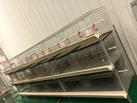 Système de cages à poulets de chair commercial de type H à 3 niveaux, avec plateaux à fumier et abreuvoirs automatiques à tétines, en acier de haute qualité, durée de vie de 18 ans
