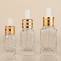 Flacon compte-gouttes carré en verre dépoli personnalisé de 10 ml, 20 ml, 30 ml, 50 ml, 100 ml avec bouchon à vis pour emballage cosmétique d'huiles essentielles et de sérums