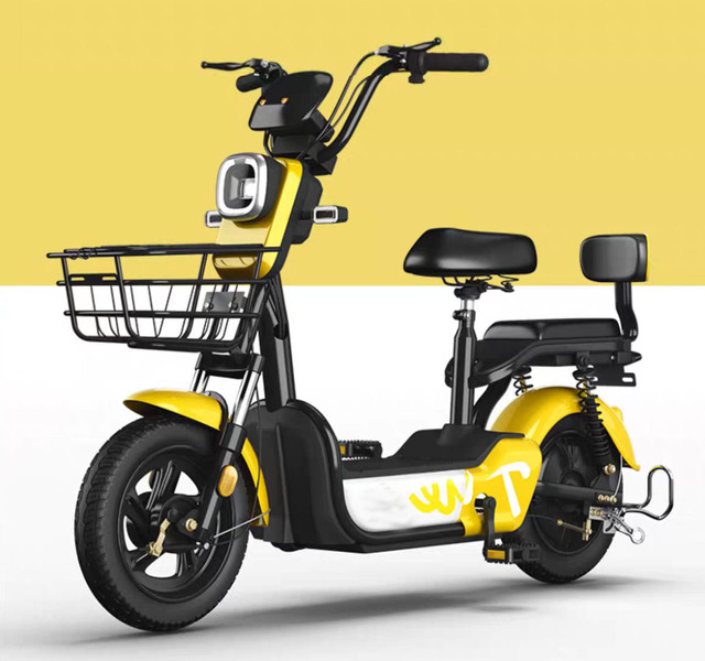 Factory Direct Sale Cheap Electric Bike with Assisted Pedals Electric Bicycle/electric Moped