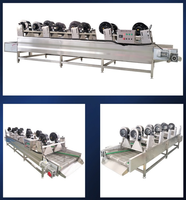 Machine de séchage automatique à air pour fruits, légumes et transformation alimentaire, équipement de séchage par soufflage en acier inoxydable, système d'élimination de l'eau