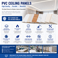 Panel de Techo de PVC Blanco al por Mayor, Panel Decorativo Impermeable para Techo y Pared Interior