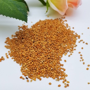 <span class=keywords><strong>Millet</strong></span> perlé hybride de qualité supérieure, jaune, blanc, rouge, doré, en gros, fourni par l'usine - Product Image 4