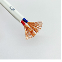 Flexibles Zweikern-Flachkabel mit PVC-Isolierung Elektrisches Zwillings- und Erdungskabel H05VVH2-F