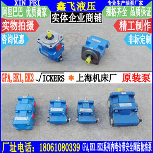 Pompe à huile à engrenages interne GPA1-214EK1EK220R6.3R63EM1, résistante aux acides et aux alcalis, usine de machines-outils de Shanghai, pompes hydrauliques, produit - Product Image 1