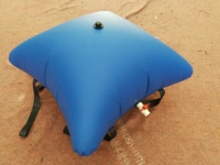 Vessie de réservoir de stockage d'eau en PVC/TPU, prix d'usine, 20 gallons/100 gallons