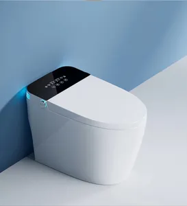 Wholesale Multi-Functions Automatic Smart Toilet Bidet with Water Tank Ceramic Toilet Bowl Intelligent Wc Toilet with Night Lamp