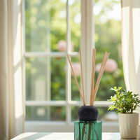 Diffuseur de parfum en verre vide avec bouchon, design moderne et unique, personnalisable avec logo, aromes d'aventurine, flacon d'huile essentielle de luxe