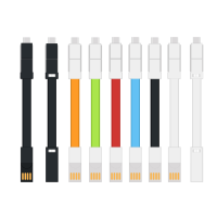 Câble de données portable 3-en-1 avec logo personnalisé, blindage tressé en ABS, câble de charge USB Type C en TPE et cuivre pur avec porte-clés pour mobile