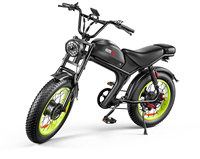 Vélo électrique à double moteur C93 48V 2000W