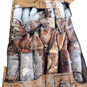 Buon prezzo su Calamari interi rotondi indiani (Calamari) - Product Image 4