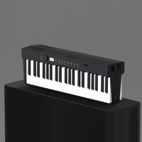 Hot Selling ZB200 88 Keys Portable Electronic Piano Folding Piano Beginner Practice Keyboard Instrument Smart Electronic Piano