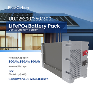 ระบบพลังงานแสงอาทิตย์แบบคาร์บอนสีน้ำเงิน ชุดแบตเตอรี่ 12v 200ah ระบบพลังงานแสงอาทิตย์แบบออฟกริด 3kw สำหรับใช้ในบ้าน - Product Image 4
