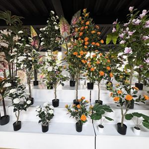 M735 Vente en gros de plantes artificielles en <span class=keywords><strong>pot</strong></span> de petite taille pour la décoration intérieure, plantes fruitières et bonsaïs - Product Image 4