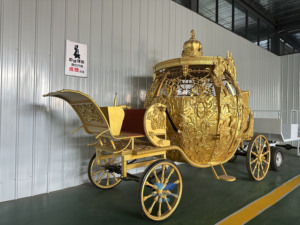 Carroza Eléctrica HengYiSheng Personalizada en Color para Bodas, Estilo Calabaza, Princesa Cenicienta, Transporte Especial, Henan - Product Image 5