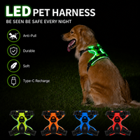 Harnais et laisse de luxe pour chien, rechargeables par USB-C, avec poignée rembourrée, réfléchissants, anti-traction, type gilet
