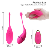 Wearable Wireless Remote Vibrator-Diskreter Klitoris stimulator 12-Gang-Vibration wasserdichtes Sexspielzeug für Frauen im Freien