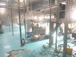 Presse à jus/presse à froid industrielle/ligne de production de jus de mangue - Product Image 4