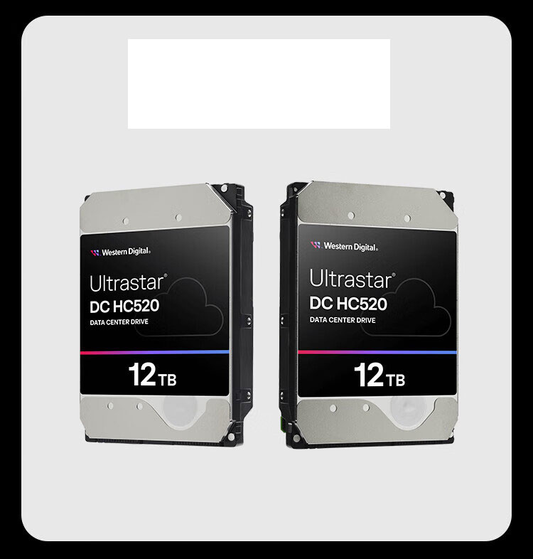 SAS-12TB
