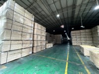 Contreplaqué léger de mélamine de catégorie d'ENF 12mm écologiques 4x8ft pour le contreplaqué décoratif de mélamine de panneaux