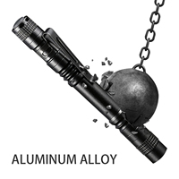 Lampe torche médicale à zoom LED, mini lampe de poche en alliage d'aluminium, torche étanche de haute qualité à piles