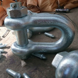 Mỹ <span class=keywords><strong>g2150</strong></span> Dee <span class=keywords><strong>D</strong></span> còng thả giả mạo Bolt Loại Neo và chuỗi còng mạ kẽm còng - Product Image 6