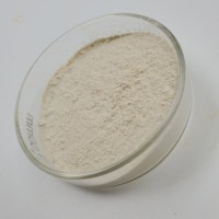 Poudre de Nuclease de Qualité Supérieure 12 000 u/g de Grade Alimentaire, Améliorateurs Nutritionnels, CAS 60675-83-4, Prix en Gros