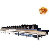 Industriële groente- en fruitdroogmachine, product-lucht droogapparaat