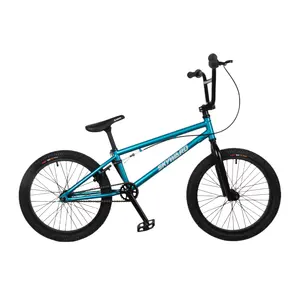 Excellent Quality And Reasonable Price 20 Inch CRO-MO Fork Freestyle BMX Bike