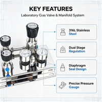 Boîtier de distribution de gaz pour laboratoire, en acier inoxydable 316L, avec double manomètre et commutation sans huile, pour montage sur panneau