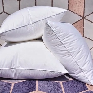 Nhà Máy Bán Buôn Sang Trọng Mềm Mại Và Fluffy Sofa Đệm Chèn Chất Lượng Cao Ngỗng Xuống Và Lông Gối Chèn Cho Giường Sofa - Product Image 5