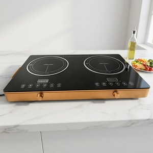 Cuisinière électrique en céramique à double brûleur 3000W, <span class=keywords><strong>plaque</strong></span> chauffante de table portable, cuisinière électrique en céramique pour camping-car, cuisine, camping - Product Image 2
