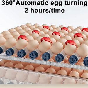 Incubateur automatique pour œufs de poulet 100 200 300, double alimentation, 3 <span class=keywords><strong>en</strong></span> 1 : incubation, écloserie et éleveuse, machine tout-<span class=keywords><strong>en</strong></span>-un - Product Image 2