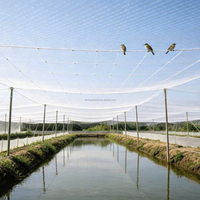 Achetez un filet anti-âge en maille de 1 cm (2,5x2,5 cm) pour la protection des pigeons, des citrouilles, du sorgho, des rangs de vignes et des arbustes fruitiers