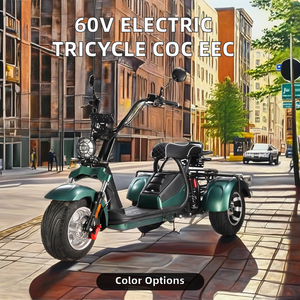 Triciclo Elettrico Citycoco COC EEC Certificato 60V, Scocca Aperta, Veicolo a 3 Ruote con Potenza >1000W e Autonomia di 90km per 2 Passeggeri - Product Image 2