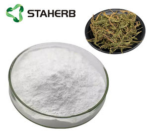 ستاهيرب هوبرزين مسحوق هوبرزيا سيراتا استخراج هوبرزين ملحق - Product Image 2